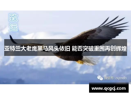 亚特兰大老鹰黑马风头依旧 能否突破重围再创辉煌