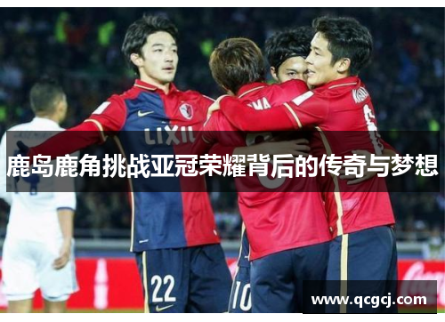 鹿岛鹿角挑战亚冠荣耀背后的传奇与梦想
