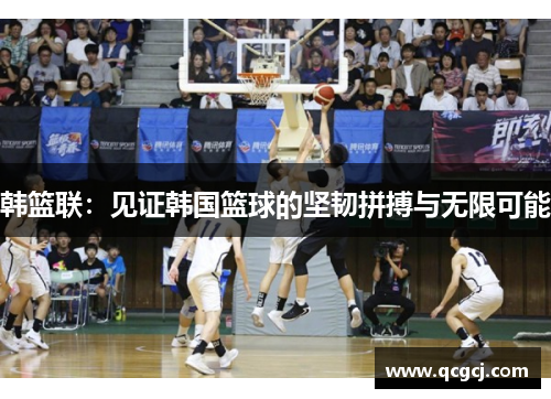 韩篮联：见证韩国篮球的坚韧拼搏与无限可能