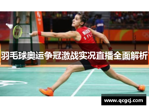 羽毛球奥运争冠激战实况直播全面解析